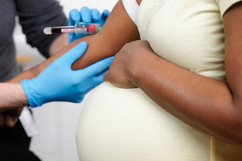 pregnant woman having blood drawn